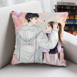 生日礼物小说《白日梦我》沈倦林语惊周边同款抱枕来图定制送午睡