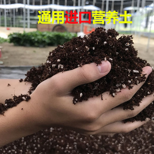 5斤通用营养土绿萝花土种植土花卉绿植泥土盆栽花泥绿萝土壤 包邮