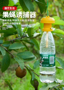 简易果蝇诱捕器盖头果园瓜地桔小实蝇针锋瓜蝇诱引捕捉诱剂果蝇药