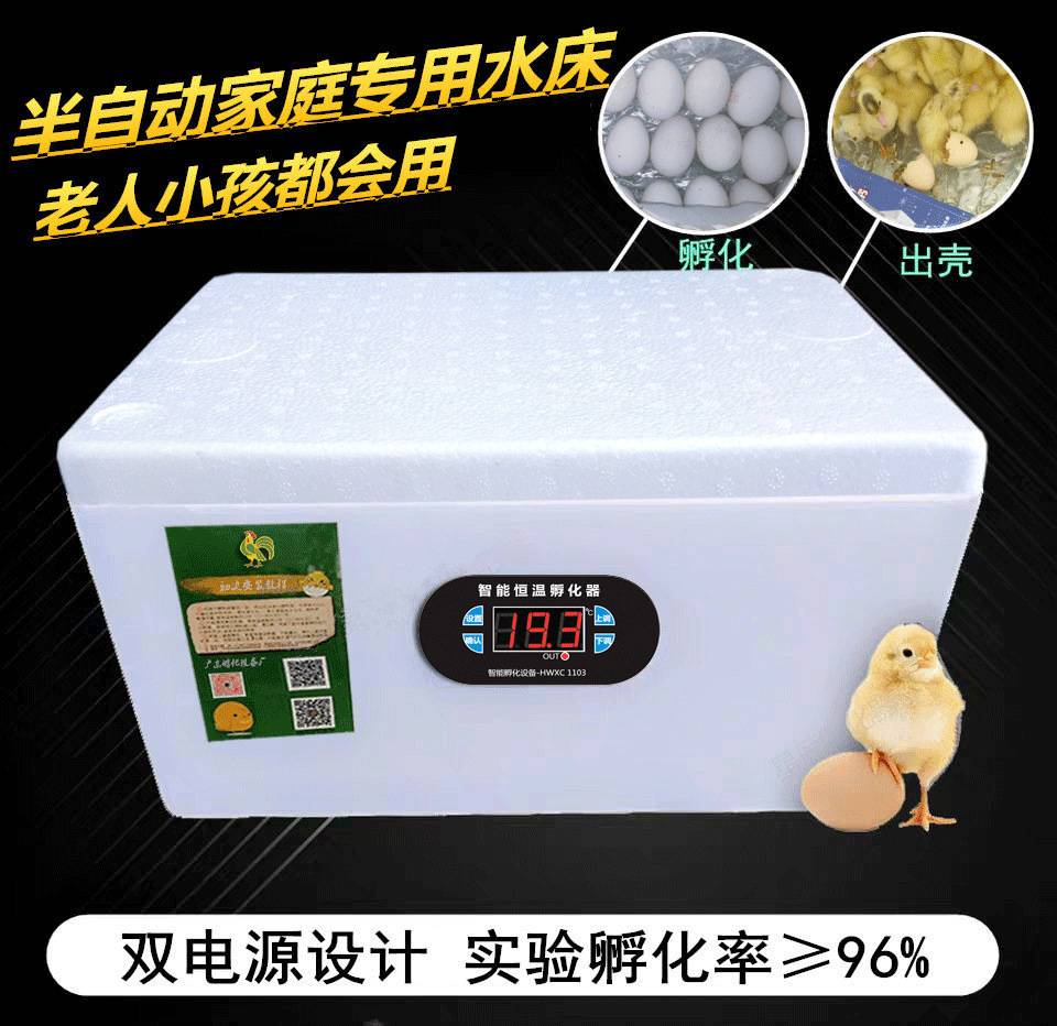 厂全自动销孵蛋器智能品迷你厂孵化机孵化器水床小鸡j小型家用鸭