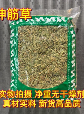 安国中药材市场批 发新货绿色伸筋草 伸经草 舒筋草 1000克