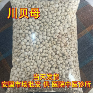安国中药材市场 川贝母正宗四川阿坝贝母怀中抱月松贝无硫