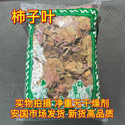 安国中药材市场 柿子叶茶 霜降后霜打干柿子叶河南柿子新鲜树叶子
