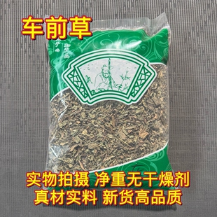 安国中药材市场批 发车前草 正品车前草干车前草茶新货1000克包邮