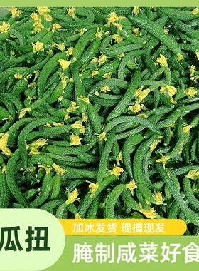 新鲜小黄瓜扭小青瓜手指粗细带刺迷你手工腌制咸菜下饭菜现摘现发