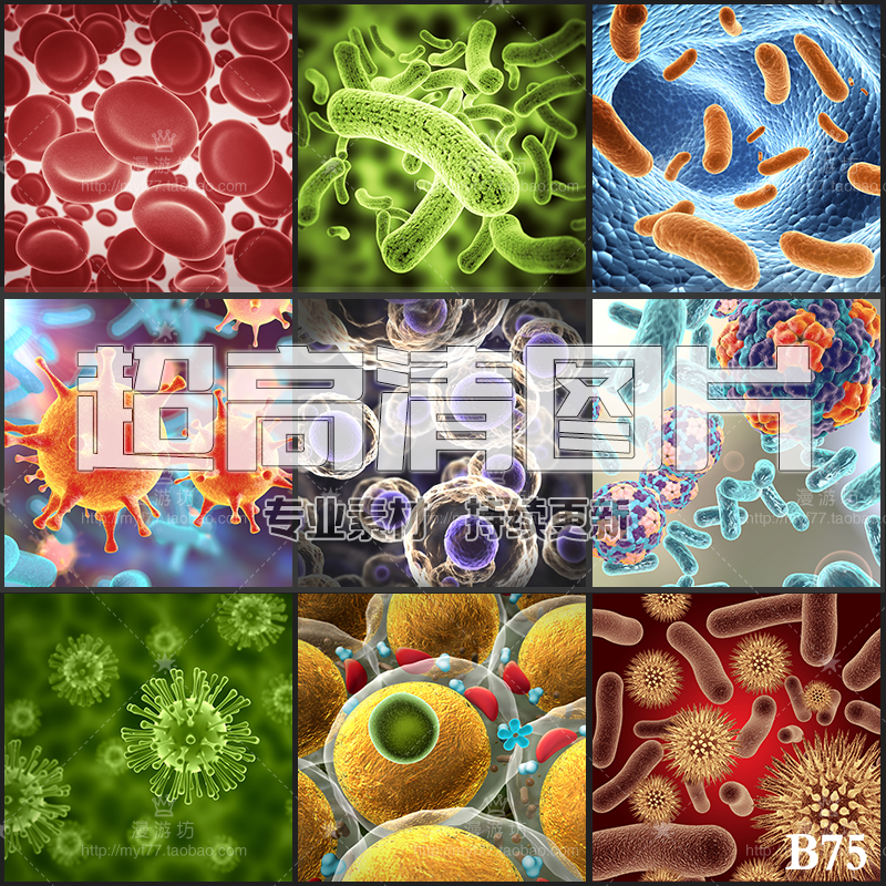 超大超高清图片生物医学细胞细菌病毒微生物病菌美工设计合成素材