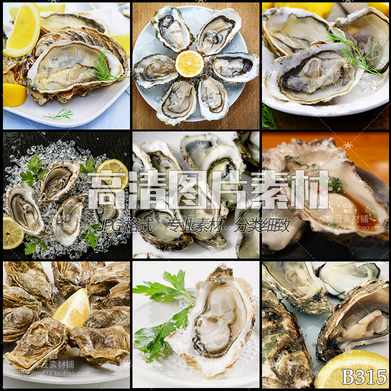 牡蛎生蚝海蛎子海鲜水产贝壳类烹饪美食餐饮jpg高清图片设计素材