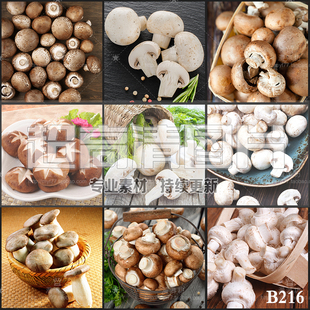 超大超高清图片蘑菇食用野生菌香菇口蘑平菇蔬菜美食美工设计素材