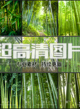 竹子竹林竹叶竹笋绿色植物自然风光JPG高清图片平面美工设计素材