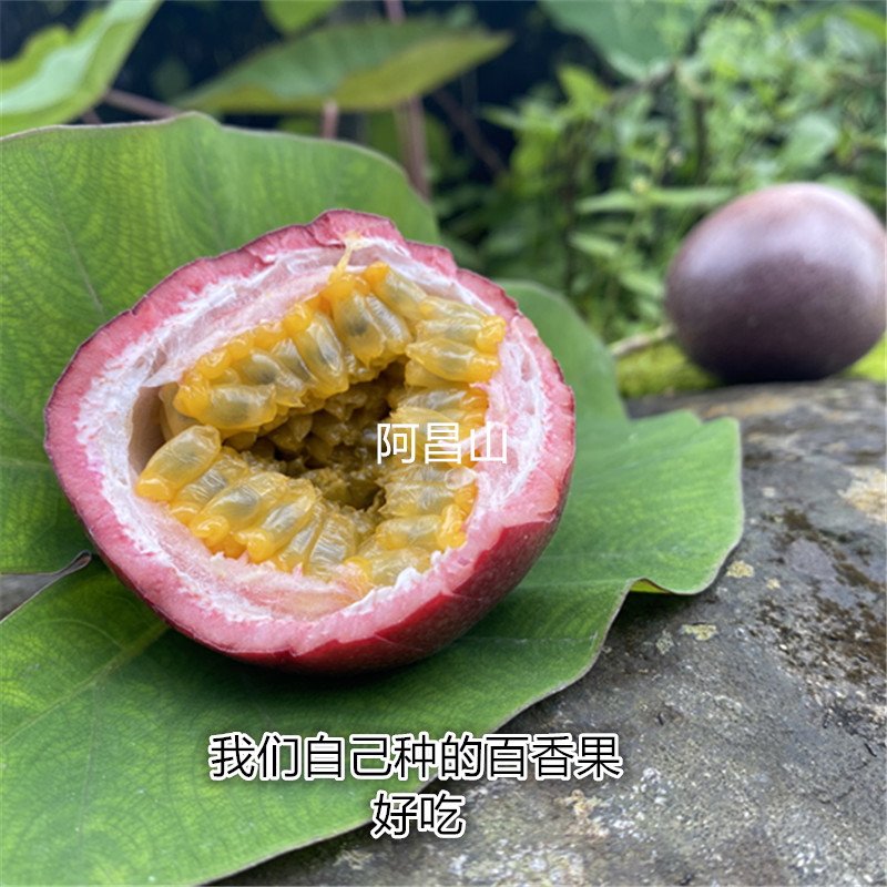 梁河阿昌山紫皮百香果很好吃