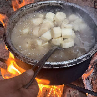 云南梁河野放风铃山药宝宝辅食生长三年多现挖现发三斤起包邮