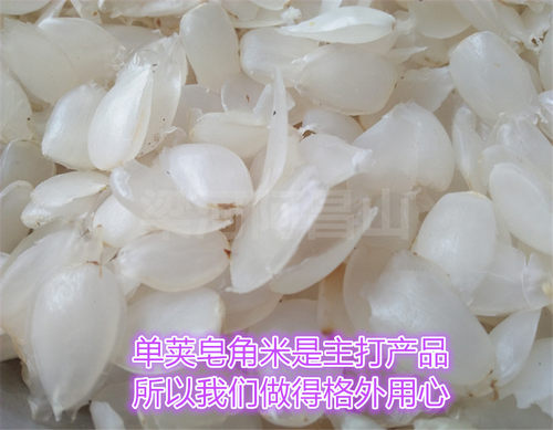 梁河单荚皂角米滇皂荚易泡