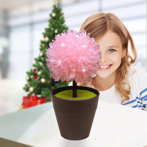 水晶种植生长科学小实验套装儿童