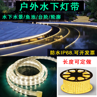led户外防水灯带庭院轮廓景观台阶灯条12V24V七彩鱼池水下灯带