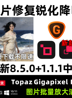 Topaz Gigapixel AI 8.5.0PS插件图片无损放大软件修降噪锐化细节