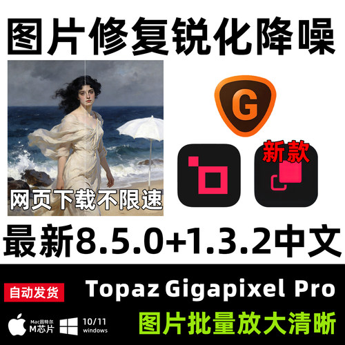 TopazGigapixel8.5/1.3.2版本
