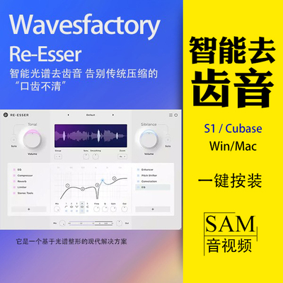 自动识别齿音不损音质一键安装