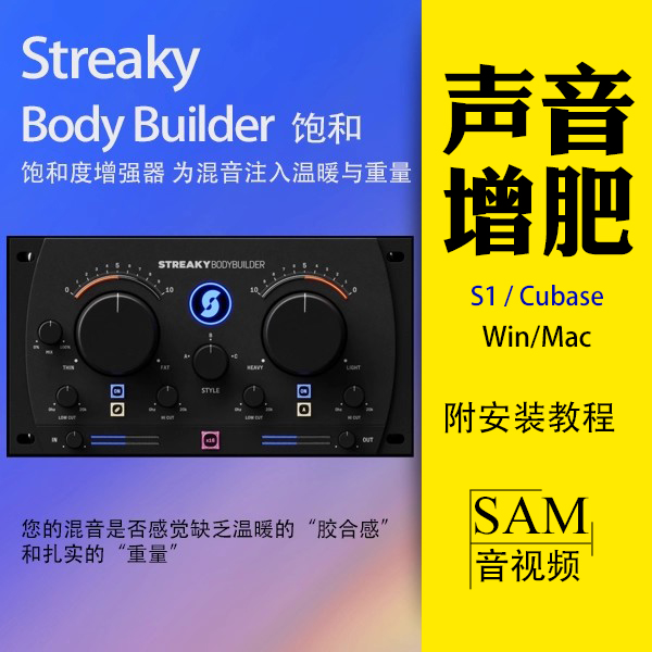 Streaky Body Builder饱和度激励器插件VST3混音声音增肥WinMac