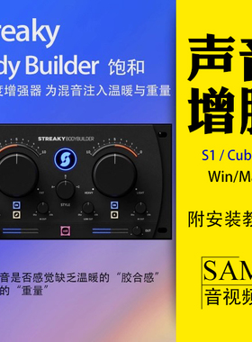Streaky Body Builder饱和度激励器插件VST3混音声音增肥WinMac