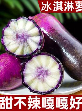 正宗潍坊水果萝卜冰激凌萝卜冰淇淋萝卜紫色冰糖心脆甜不辣萝卜
