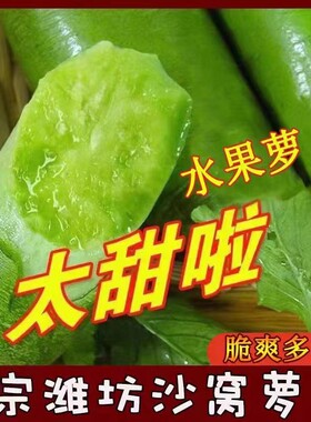 正宗潍坊水果萝卜老潍县青萝卜夏庄水果萝卜非天津沙窝萝卜脆甜
