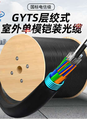 辉宏时代GYTS/GYTA53/GYTZA53室外单模重铠阻燃光缆层绞式光纤线12/24/4芯6/8芯96/144防鼠咬直地埋光缆adss