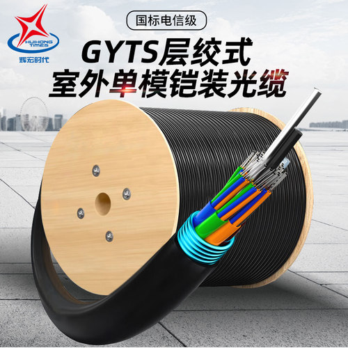 辉宏时代GYTS/GYTA53/GYTZA53室外单模重铠阻燃光缆层绞式光纤线4芯6/12/24/8芯96/144防鼠咬直地埋光缆adss