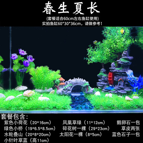 鱼缸里放水草价格 鱼缸里放水草图片 星期三