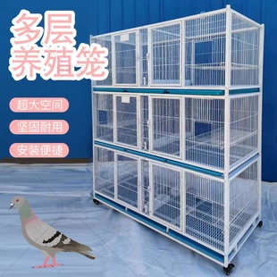 大号养殖鸽子笼信鸽配对笼肉鸽繁殖笼鸽笼观赏鸽通用 金奥加高新款