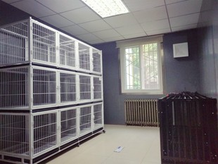 猫笼寄养笼小型犬繁育宠物店笼子 金奥三层长2米16加粗大号狗笼子