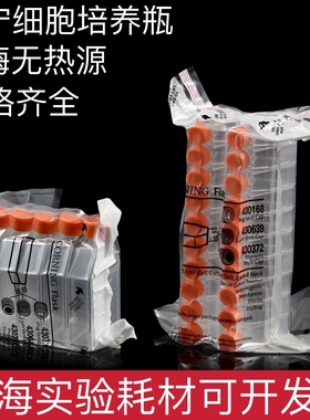 T25cm2密封盖透气盖细胞培养瓶430639/ 430168Corning康宁20个/包