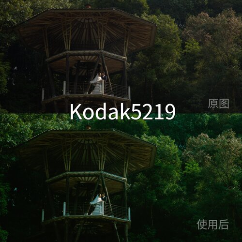 Kodak5219LUT F-LogV-LogLogC3LogC4安卓O-LogRec.2020PQiPhone13