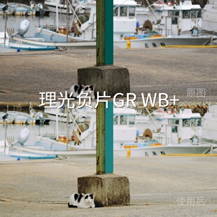 理光负片GRWB+LUT N-LogF-Log2GalaxyLog剪映AppleLog2平板PicXT4