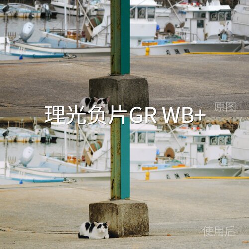 理光负片GRWB+LUT N-LogF-Log2GalaxyLog剪映AppleLog2平板PicXT4