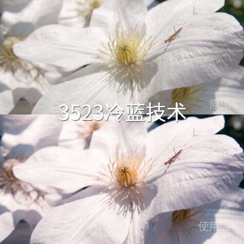 3523冷蓝技术LUT 剪映Magic-Log通用D-Log2Mi-LogFCPXMavi华为P50