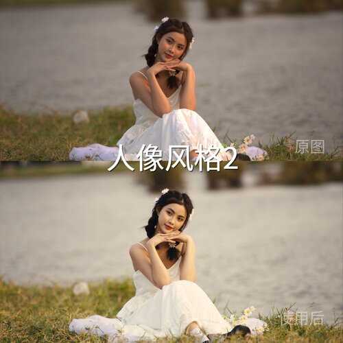 人像风格2LUT cubeO-LogRec.709Gamma2.4I-LogAcePro2系列S-L佳能