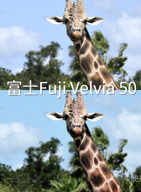 富士FujiVelvia50LUT AppleHDRHLGHLGO-LogRec.2020PQ1000一加Ace