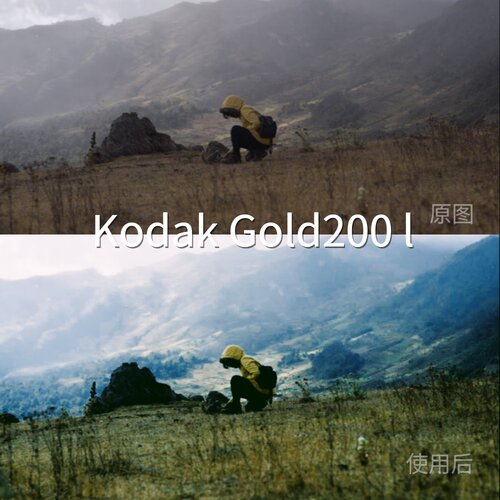KodakGold200lLUT O-LogRec.2020PQ1000F-LogHLG剪映C-Log3LX100V