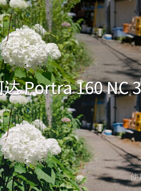 柯达Portra160NC3+LUT REDLogFilmMi-Log极影相机GP-Log固件1iQOO