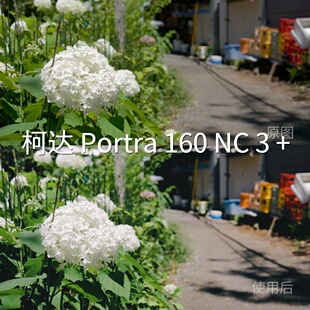 柯达Portra160NC3 REDLogFilmMi Log极影相机GP Log固件1iQOO LUT