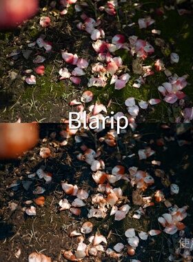 BlaripLUT 达芬奇mac剪映O-LogRec.709Gamma2.4V-LogAfterEff一加