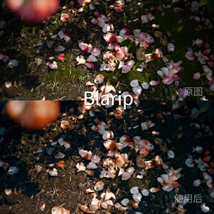 LogRec.709Gamma2.4V LogAfterEff一加 达芬奇mac剪映O BlaripLUT