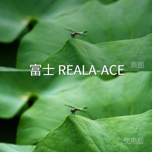 富士REALA-ACELUT cube手机PictureProfile（PP‌Insta360GOUltra