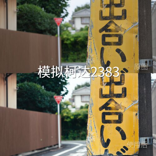 模拟柯达2383LUT V-LogMini4ProD-LogMCapCutAppleLogRED佳能R100