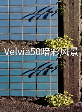 Velvia50暗彩风景LUT AppleHDRHLGAction6D-LogM安卓vivo松下BGH1