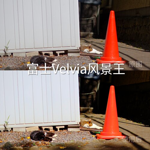 富士Velvia风景王LUT O-Log2电脑PictureProfile（PP1-PP6GoPro11