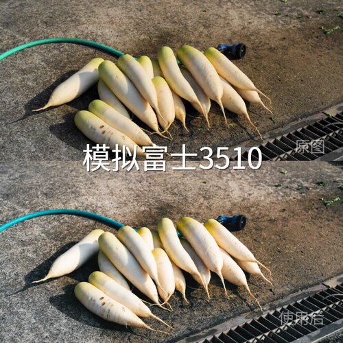 模拟富士3510LUT AEAppleLogAppleLog2O-Log2Avata2D-LvivoY51S‌