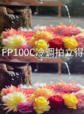 FP100C冷调拍立得LUT ZENMUSEX9D-LogC-Log2AfterEffectsActi一加