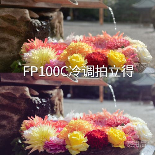 FP100C冷调拍立得LUT ZENMUSEX9D-LogC-Log2AfterEffectsActi一加