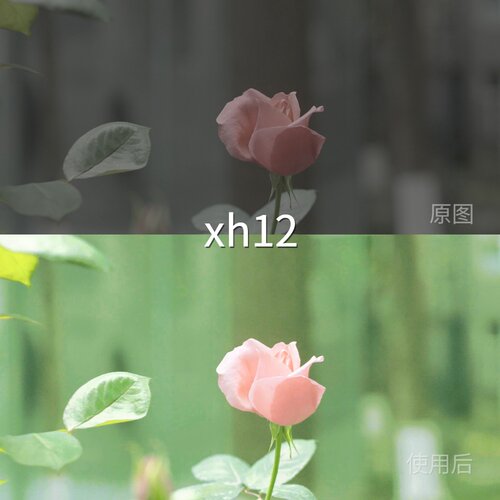 xh12LUT GP-Log固件2.00Mi-LogPictureProfile（PP1-PP6）MaviDJI
